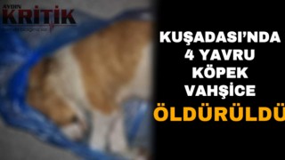 Kuşadası’nda 4 yavru köpek vahşice öldürüldü