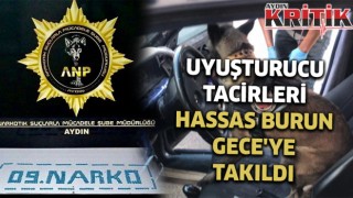 Uyuşturucu tacileri, Hassas burun Gece'ye takıldı