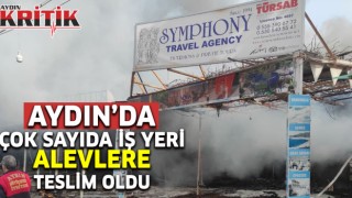 Aydın’da çok sayıda iş yeri alevlere teslim oldu