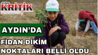 Aydın’da fidan dikim noktaları belli oldu