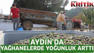 Aydın'da yağhanelerde yoğunluk arttı