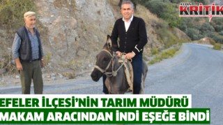 Efeler İlçesi'nin Tarım Müdürü makam aracından indi eşeğe bindi