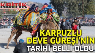 Karpuzlu Deve Güreşi’nin tarihi belli oldu