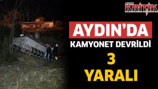 Aydın'da kamyonet devrildi 3 yaralı