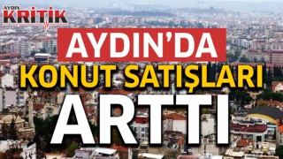 Aydın'da konut satışları arttı