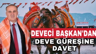 Deveci Başkan’dan deve güreşine davet