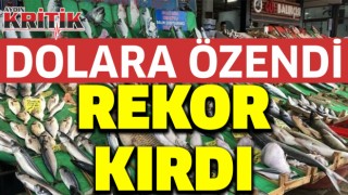 Dolara özendi rekor kırdı