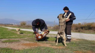 Efeler Belediyesi can dostları unutmuyor