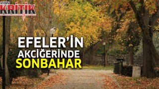 Efeler'in akciğerinde sonbahar