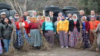 Karacasu ve Çine’deki orman yangınlarının yaraları sarılıyor