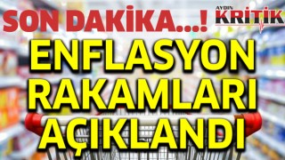 Son Dakika..! Enflasyon rakamları açıklandı