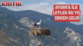 Aydın'a ilk leylek bu yıl erken geldi