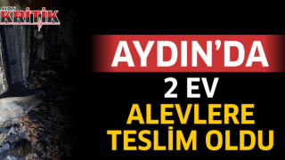 Aydın’da 2 ev alevlere teslim oldu