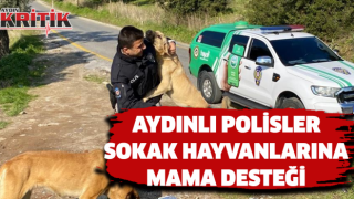 Aydınlı polisler sokak hayvanlarına mama desteği