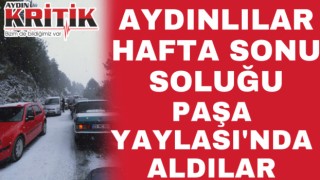 Aydınlılar hafta sonu soluğu Paşa Yaylası’nda aldılar