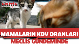 Mamaların KDV oranları meclis gündeminde