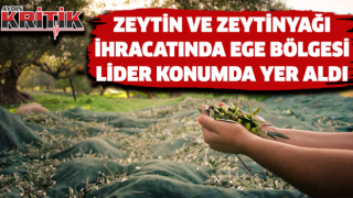 Zeytin ve zeytinyağı ihracatında Ege Bölgesi lider konumda yer aldı