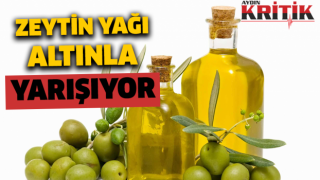 Zeytin yağı altınla yarışıyor