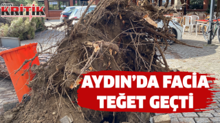 Aydın'da facia teğet geçti