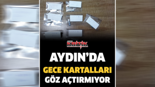 Aydın'da gece kartalları göz açtırmıyor