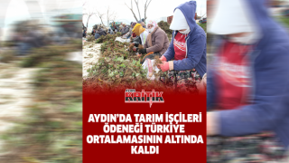 Aydın’da tarım işçileri ödeneği Türkiye ortalamasının altında kaldı