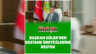 Başkan Güler'den Kestane Üreticilerine Destek