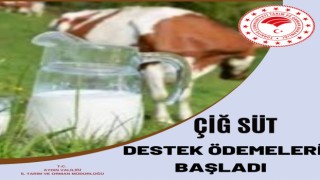 Çiğ süt destek ödemeleri başladı