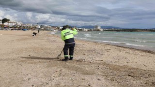 Didim’de sahillerde temizlik çalışması yapıldı