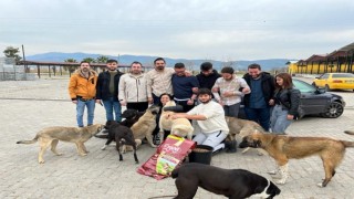 Efeler AK Gençlik sokak hayvanlarını unutmadı