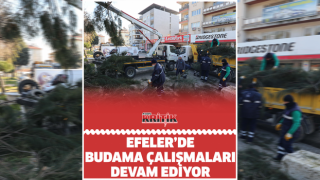 Efeler’de budama çalışmaları devam ediyor