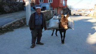 Kırsaldaki yük hayvanları kıymete bindi