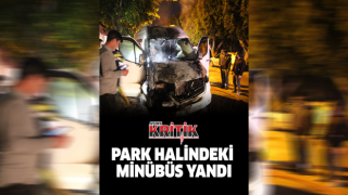 Park halindeki minibüs yandı