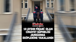 10 aydır firari olan cinayet şüphelisi jandarma ekiplerine yakalandı