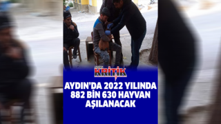 Aydın’da 2022 yılında 882 bin 630 hayvan aşılanacak