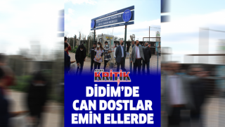 Didim'de can dostlar emin ellerde