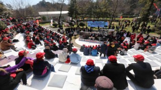 Efelerin dev festivali başladı