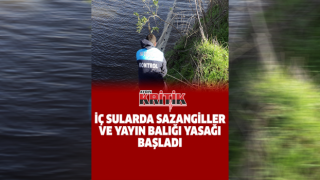 İç sularda sazangiller ve yayın balığı yasağı başladı