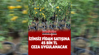 İzinsiz fidan satışına 54 bin TL ceza uygulanacak