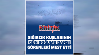 Sığırcık Kuşlarının Gün Doğumu Dansı Görenleri Mest Etti