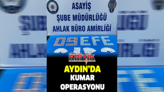 Aydın'da kumar operasyonu