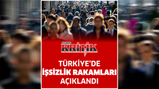 Türkiye'de İşsizlik Rakamları Açıklandı