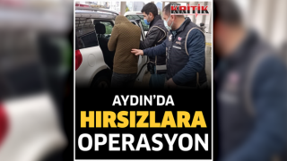 Aydın'da hırsızlara operasyon