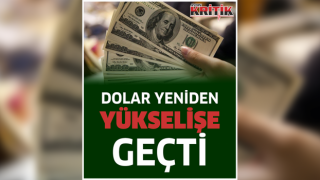 Dolar yeniden yükselişe geçti