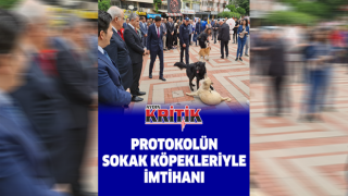 Protokolün sokak köpekleriyle imtihanı