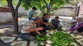 Aydın’da ilek mesaisi başladı