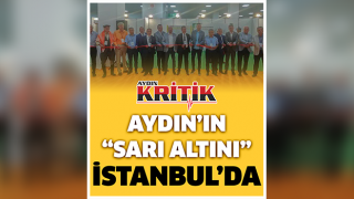 Aydın’ın sarı altını İstanbul’da