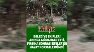 Belediye ekipleri anında müdahale etti, fırtına sonrası Efeler'de hayat normale döndü