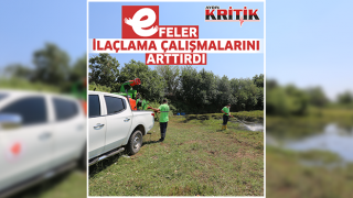 Efeler ilaçlama çalışmalarını arttırdı