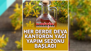 Her derde deva kantaron yağı yapım sezonu başladı