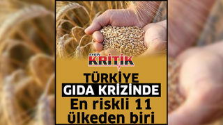 Türkiye gıda krizinde en riskli 11 ülkeden biri